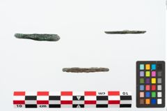 Foto von Bronzering (NHMW-PRAE-025576)